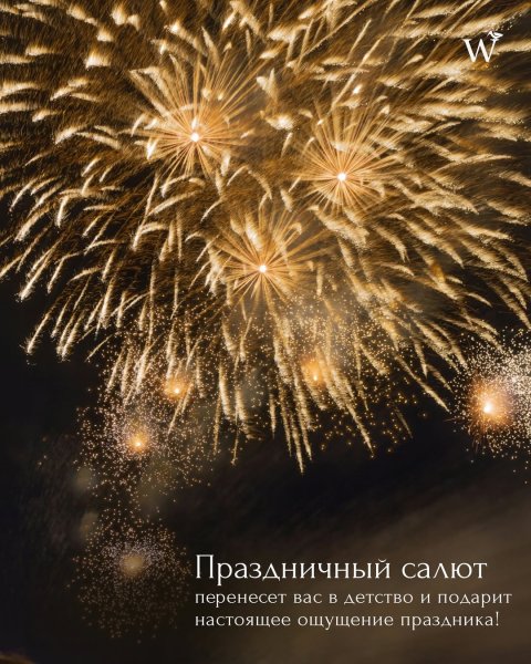 Новый год в парк-отеле WOOD WOOD WOOD